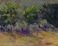 Crystal Springs Hillside