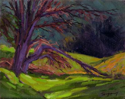 Fallen Cypress