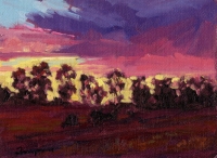 Petaluma Sunset