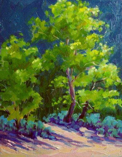 Sand Harbor Trees (Lake Tahoe)