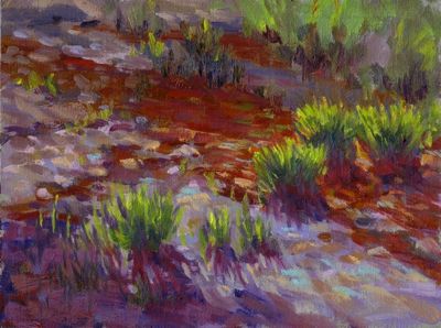 Blackwood Canyon Morning Stream