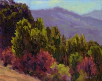 Coyote Hills