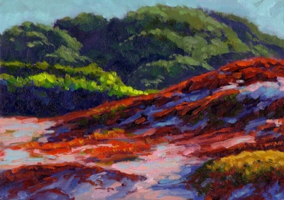 Asilomar Dunes Glow