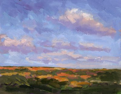 Aruban Landscape