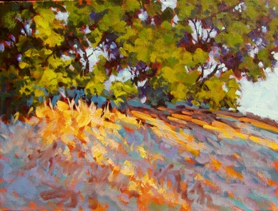Hillside Light