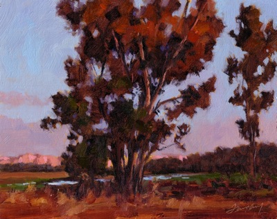 Last Light, Eucalyptus