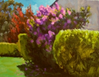 Rhododendron