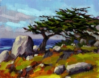 Pescadero Point (Full Sun) Pescadero Point (Full Sun)