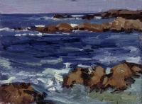 Rocks & Surf 2 (Pacific Grove) Rocks & Surf 2 (Pacific Grove)