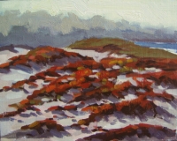 Seascape-Ice-Plant-Gray-Day