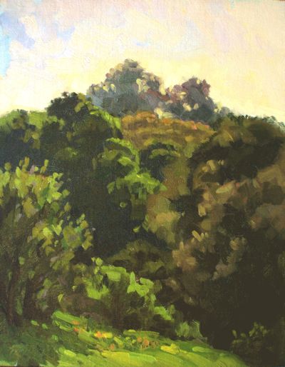 Morning, Back lit (La Canada Road)