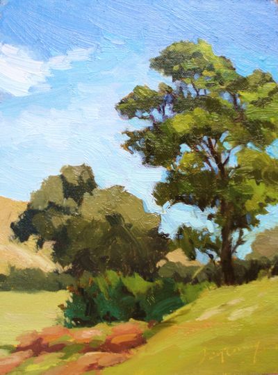 Mountain Springs Hillside