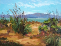 Bay Farm Island Bay Farm Island