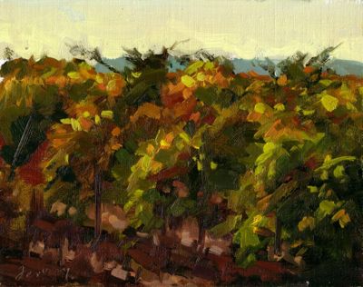Sonoma Vineyard