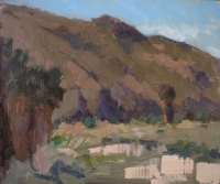 Palm Vista