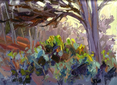 Beuna Vista Park Hillside (Near Sunset)