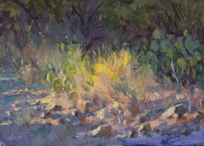 Desert Light