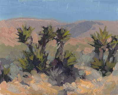 Desert Color Study