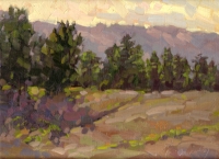 Crystal Springs, Woodside, CA