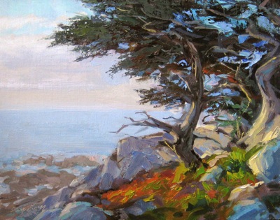 Monterey Cypress, Oil on Linen, 11x15