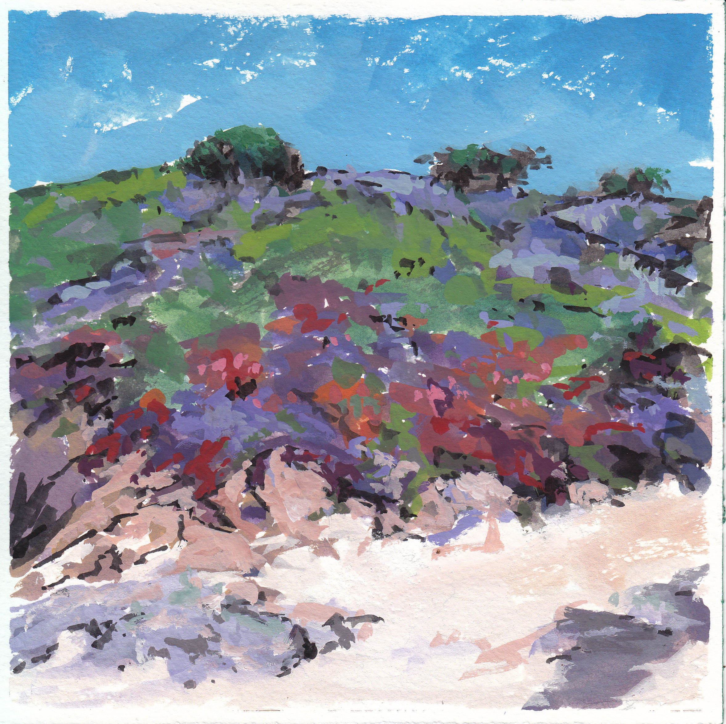 Asilomar Dunes, Gouache on Paper, 8x8"